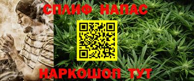 сатива Камышлов