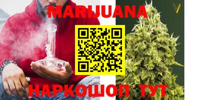 сатива Камышлов